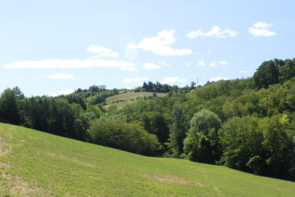 Agriturismo Casa Garello Саличе Терме Екстериор снимка